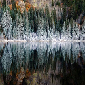 Meet your Posher, Asa